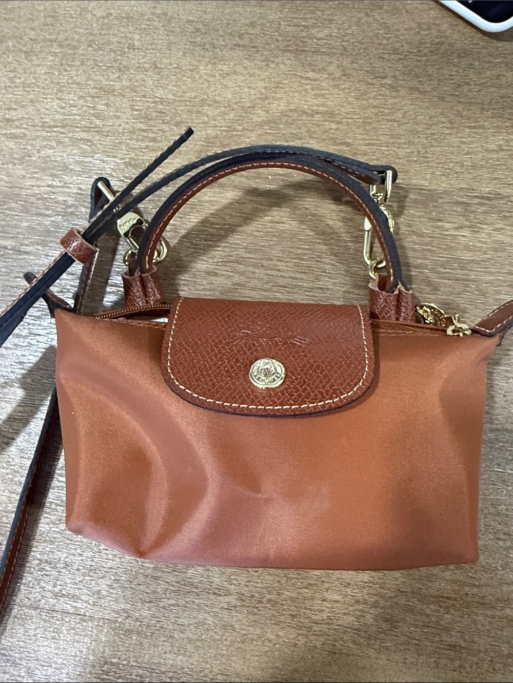 Longchamp Mini Bag in Brown with Tan Trim
